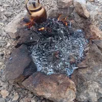 معاوضه کبوتر با جوجه مرغ