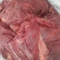 سر سینه گوسفندی