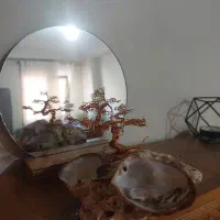 درختچه سیمی