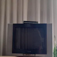 تلوزیون