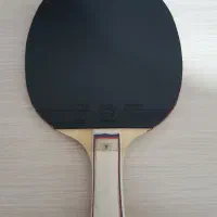 راکت پینگ پنگ فرندشیپ ۷ ستاره و 729|ورزش‌های توپی|رشت, استقامت ۱|دیوار