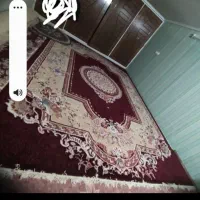 قالی .فرپیتزا