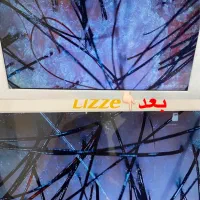 درمان مشکلات مو و پوست سر(اسکراب اسکالپ)|خدمات آرایشگری و زیبایی|شیراز, تاچارا|دیوار