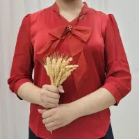 پوشاک گندم|لباس|حمیدیا, |دیوار