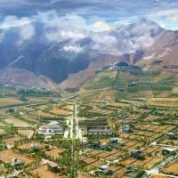 ۹۲۰متر زمین دو نبش بسیار درجه یک «آویشن»