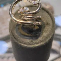 انگشتر امضا مجلسی|بدلیجات|قم, صفائیه|دیوار