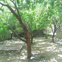 خانه ویلایی بهترین نقطه دلفارد،دروا