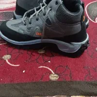 کفش گردشگری|کیف، کفش، کمربند|باوی, |دیوار