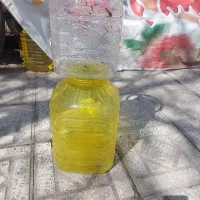 ظرف ترشی کوچک و بزرگ