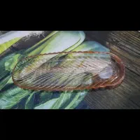 ظروف پذیرایی|ظروف سرو و پذیرایی|کیاشهر, |دیوار