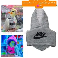 وسایل پرنده موجوده|پرنده|شیراز, وصال|دیوار