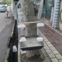 قفس خورشیدی بزرگ