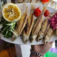 کافه رستوران|کافی‌شاپ و رستوران|کوچصفهان, |دیوار