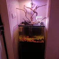 اکواریوم ۶۰