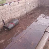 اتاق عقب بنز تک