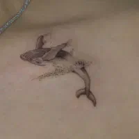 اموزش و اجرای تتو بدن