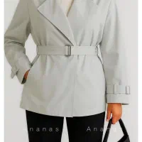 بارونی پلاتین