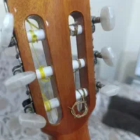 گیتار استیو 4ste|گیتار، بیس، امپلیفایر|ارومیه, |دیوار