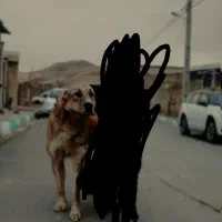 سگ دزدیده شده|حیوانات|سنقر, |دیوار