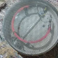 کرسی دوحالته