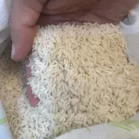 برنج‌هاشمی درجه۱به شرط پخت و ارسال رایگان|خوردنی و آشامیدنی|تهران, تهرانپارس غربی|دیوار