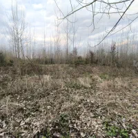 قطعه-زمین-مسکونی-در-ضیابر