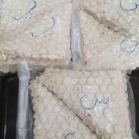 پیتزا و پیراشکی مجالس|خوردنی و آشامیدنی|مشهد, کارمندان دوم|دیوار