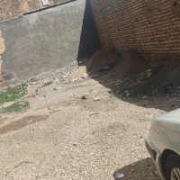 زمین