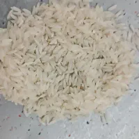 برنج صدری زنجان رود