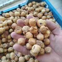 فروش انجیر استهبان نصف قیمت