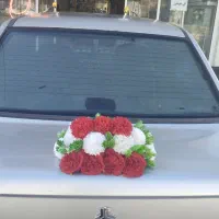 ماشین‌عروس‌مصنوعی‌وطبیعی
