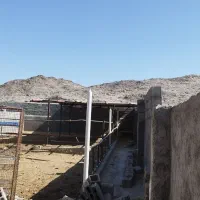 اجاره و فروش گاوداری|اجارهٔ دفتر صنعتی، کشاورزی، تجاری|زابل, |دیوار