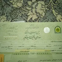 مینی بوس آماده سرویس دهی