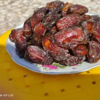 فروش ویژه خرماهای شهابی کبکاب بریمی