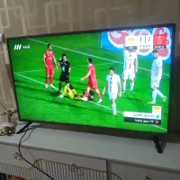 تلویزیون