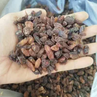 کشمش ومویز|خوردنی و آشامیدنی|ارومیه, |دیوار