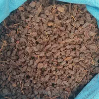 فروش کشمش و مویز(سیاه و رطبی)بش|خوردنی و آشامیدنی|شیراز, گویم|دیوار
