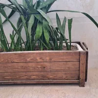 گلدان چوبی ۳۰×۸۰|گل و گیاه طبیعی|شهریار, شهرک امیریه|دیوار