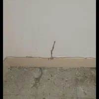 شرکت سم پاشی و موریانه زدایی(آسایش) با مجوز رسمی|خدمات نظافت|کوهدشت, |دیوار