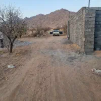 فروش زمین نیر|فروش زمین و ملک کلنگی|نیر (یزد), |دیوار