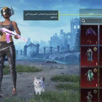 اکانت پابجی