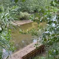 فروش ویلا جزیره ای همراه تفریحات آبی|فروش خانه و ویلا|کهک, |دیوار