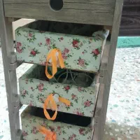 جاسیب وپیاز