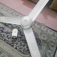 پنکه سقفی|پنکه و تصفیه‌کنندهٔ هوا|کرمان, |دیوار