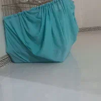 عروس هلندی لوتینو مولد