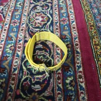 قلاده گردن سگ مدل برزنتی|لوازم جانبی حیوانات|تهران, گمرک|دیوار