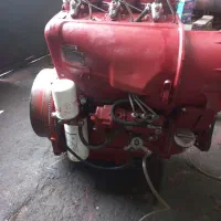 دویتس لیستر  مارگو