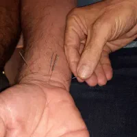 فروش دوره های افلاین اموزش طب سنتی|خدمات آموزشی|شیراز, شهرک صنعتی شیراز|دیوار