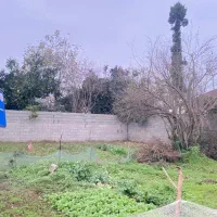 ۳۰۰ متر زمین مسکونی دو بر