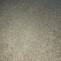 فروش گندم نیم دانه درجه 1